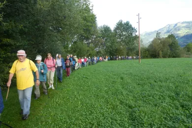 Das Zuger Senioren-Wandern am Goldseeli in Lauerz