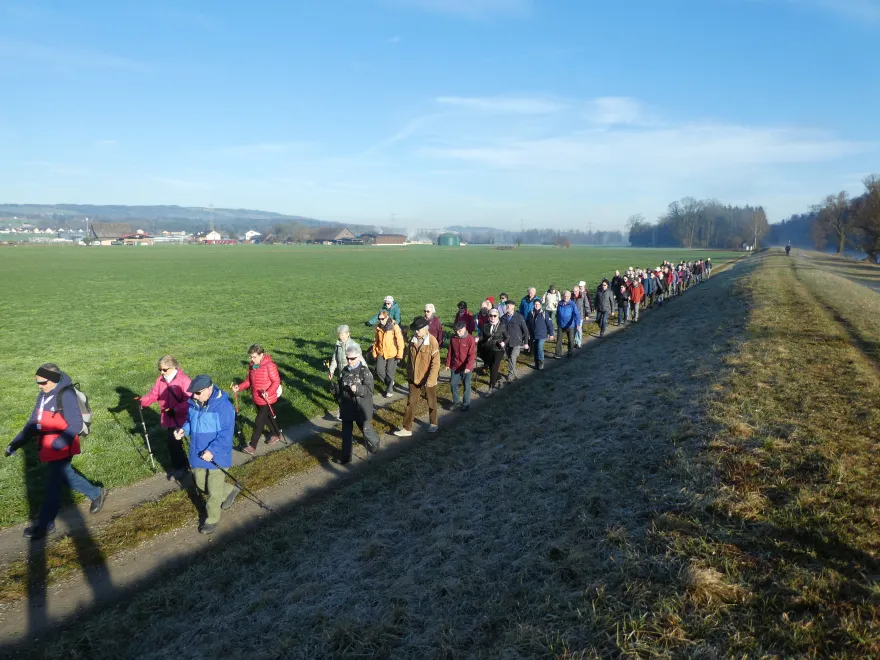 Das Zuger Senioren-Wandern an der Reuss