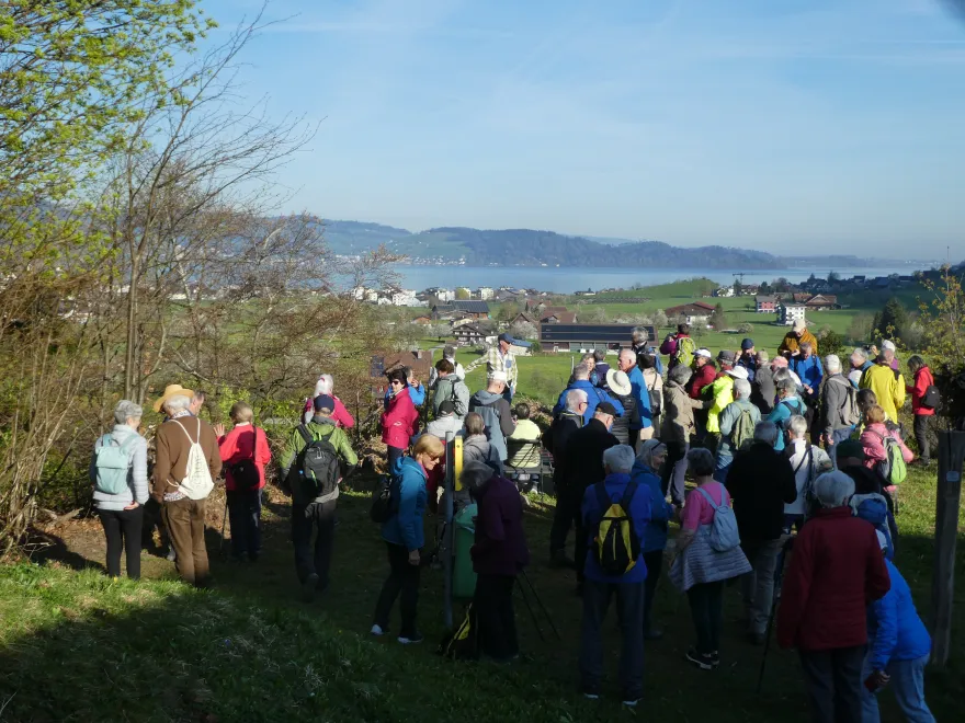 Das Zuger Senioren-Wandern in Goldau