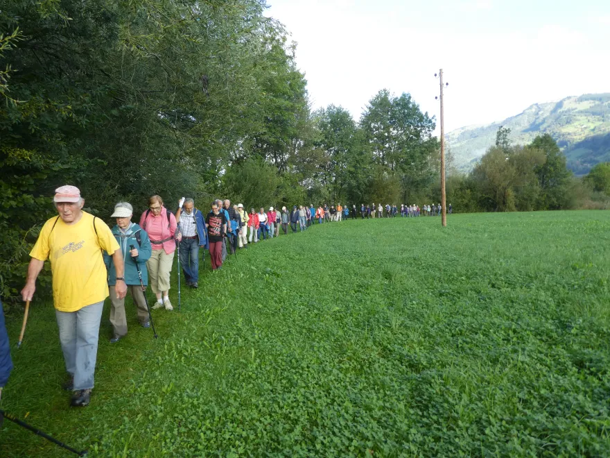 Das Zuger Senioren-Wandern am Goldseeli in Lauerz